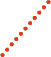 パラダイスフォー