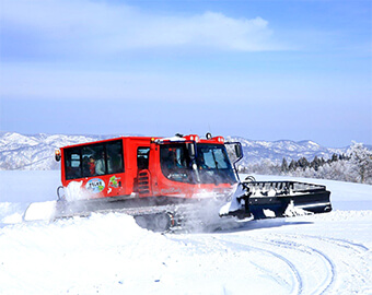 スノーアクティビティ